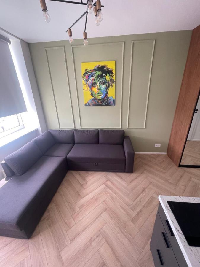Airport Apartment 14 Self Check-In Free Parking ヴィリニュス エクステリア 写真